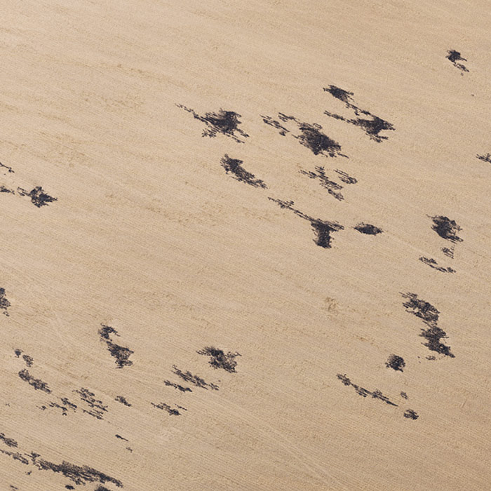 Jérémie Lenoir - PRIX A.M.E.