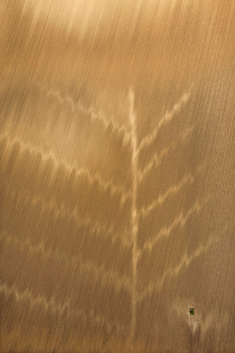 Jérémie Lenoir - TERRITOIRES OCCUPES