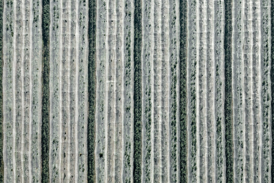 Jérémie Lenoir - TERRITOIRES OCCUPES